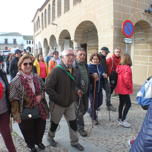 XXV Muestra almendro en flor (51)